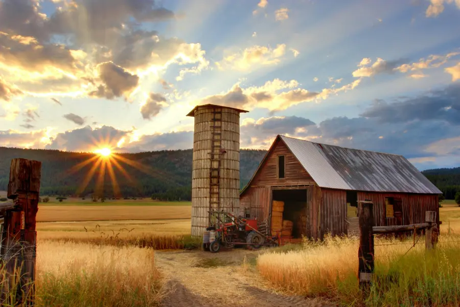 The barn and silo at sunset.